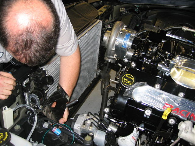 Scott Levine Fitting Radiator