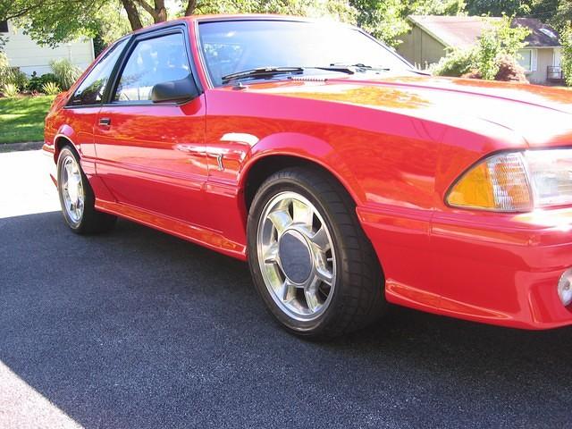 Cobra 6