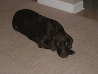 IMG_5718.JPG