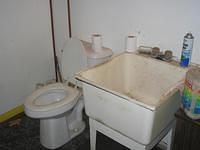 IMG_0226 (Large).JPG