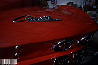 Corvette 2.jpg