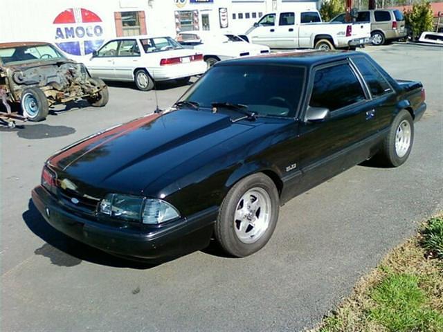 Derrick's Black Mustang (Large)