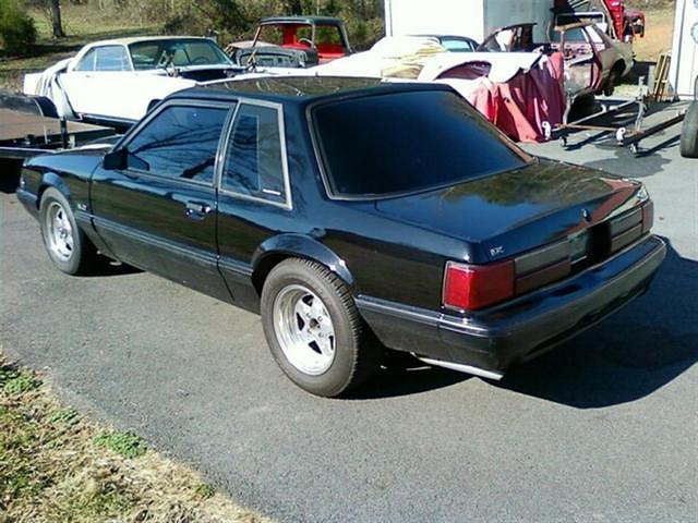Derrick's Black Mustang 1 (Large)